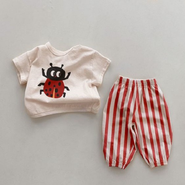 Discover the perfect fit with 2T baby clothes